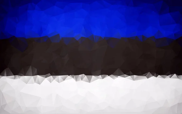Estonian polygon flag texture — Stock Vector