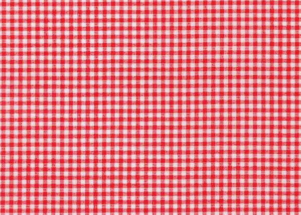 Красно-белая ткань скатерти для пикника — стоковое фото