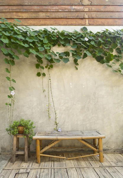 Banco de bambú con planta verde en pared de hormigón — Foto de Stock