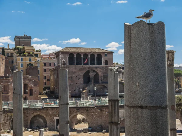 Ruines romaines à Rome, Italie — Photo