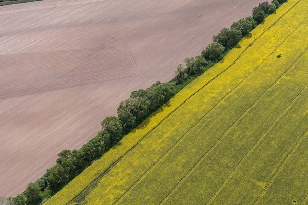 Bovenaanzicht van de oogstvelden — Stockfoto