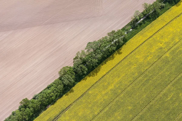 Bovenaanzicht van de oogstvelden — Stockfoto