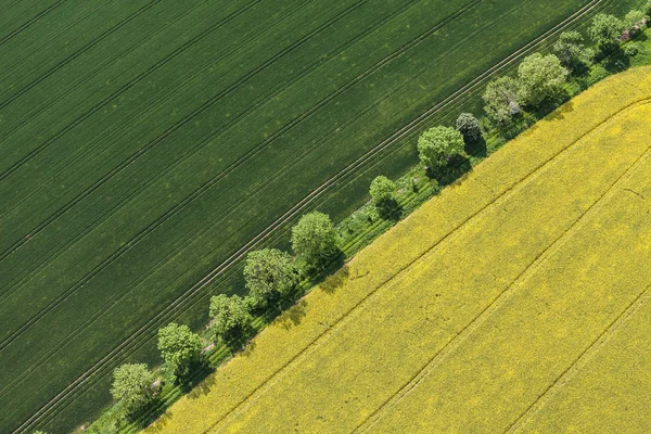 Bovenaanzicht van de oogstvelden — Stockfoto