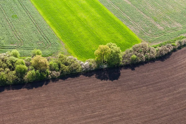 Luchtfoto van het lente-veld — Stockfoto