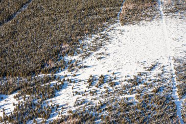 Polonya Czarna Gora dağ 