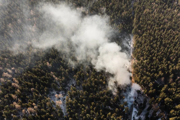 Fire in winter forest — Stock Photo, Image