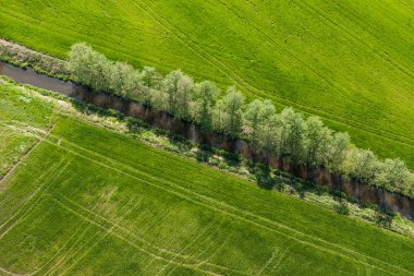 Yeşil hasat alanları