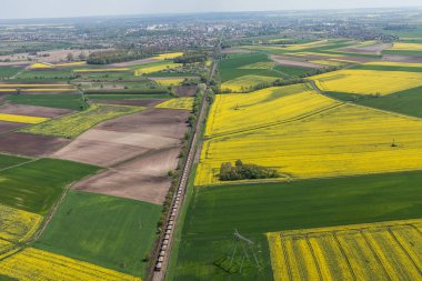Yeşil hasat alanları