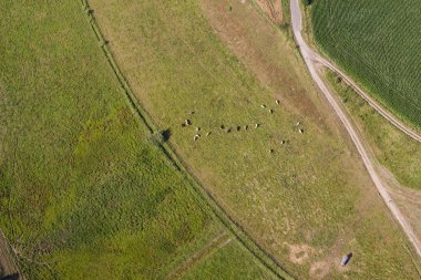 Yeşil hasat alanları 