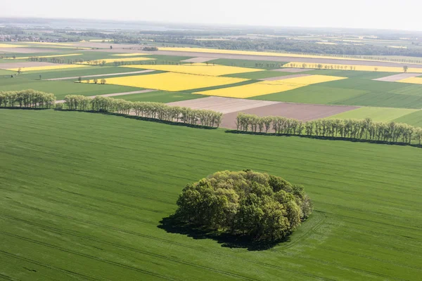 Erntefelder in Polen — Stockfoto