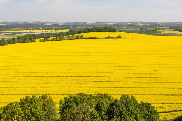 Campos de colheita na Polónia — Fotografia de Stock