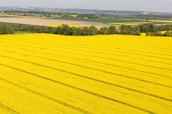 Campos de colheita na Polónia — Fotografia de Stock