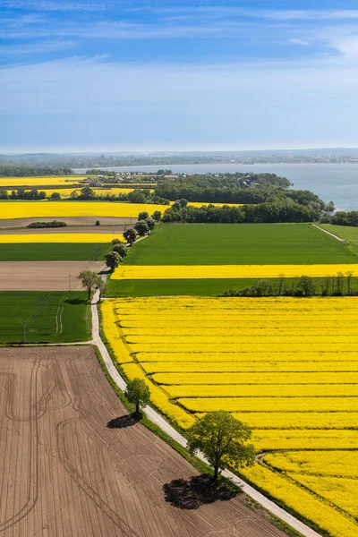 Oogst velden in Polen — Stockfoto