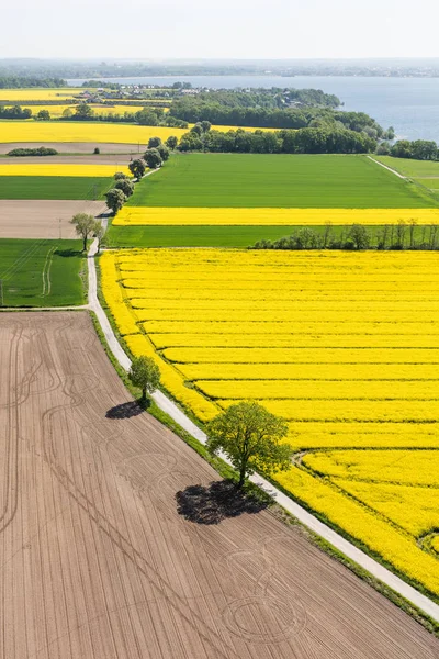 Campos de colheita na Polónia — Fotografia de Stock