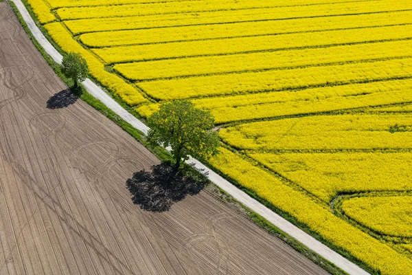 Harvest fields in Poland — Stock Photo, Image