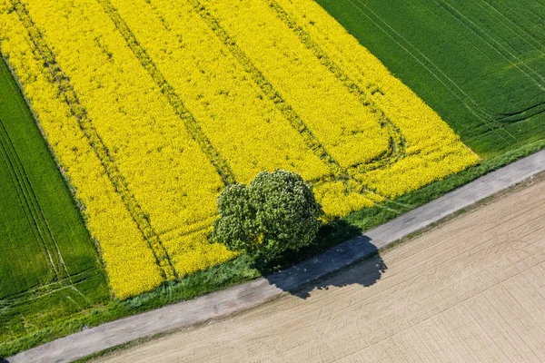 Campos de cosecha en Polonia —  Fotos de Stock