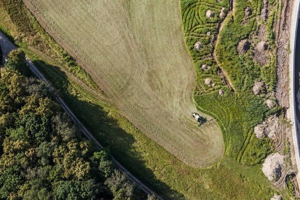 Campos de cosecha verde —  Fotos de Stock