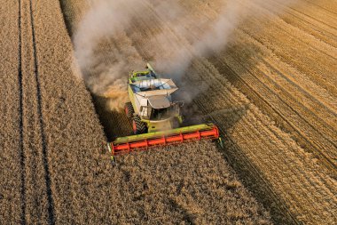combine havadan görünümü hasat alanları