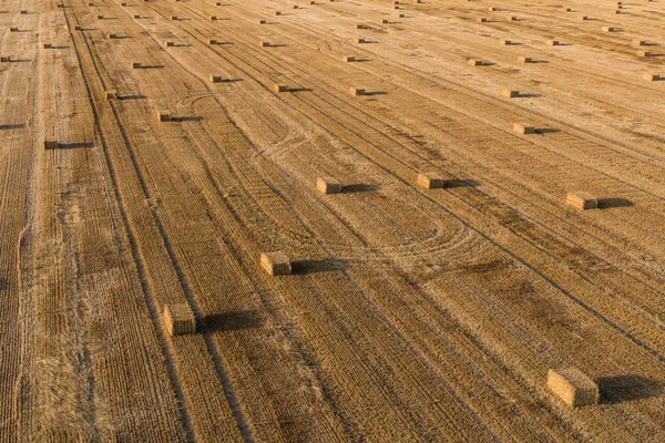 Vista aérea de los campos de cosecha —  Fotos de Stock