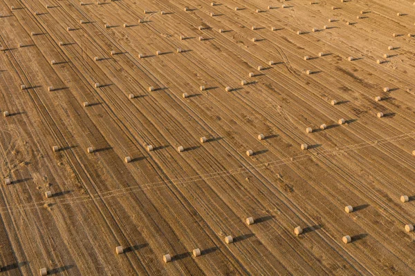 Aerial view of the harvest fields — Stock Photo, Image