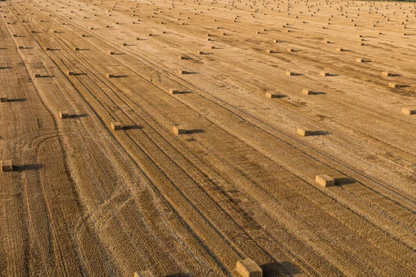 Vista aérea de los campos de cosecha — Foto de Stock