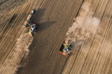 combine havadan görünümü hasat alanları