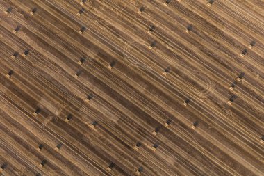 Hasat alanlarının havadan görünüşü