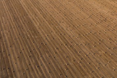 Hasat alanlarının havadan görünüşü