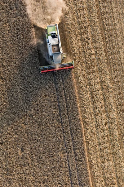 Luftaufnahme eines Mähdreschers auf Erntefeldern — Stockfoto