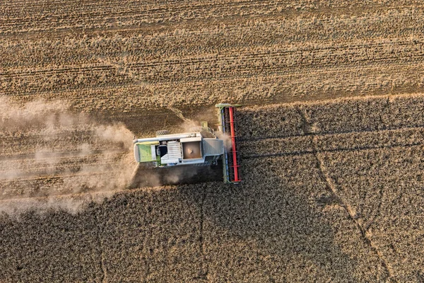 Aerial view of combine on harvest fields — Stock Photo, Image