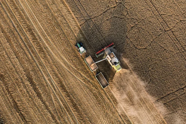 Vista aérea de combinar en campos de cosecha — Foto de Stock