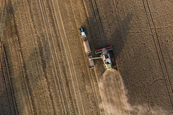 Luftaufnahme eines Mähdreschers auf Erntefeldern — Stockfoto
