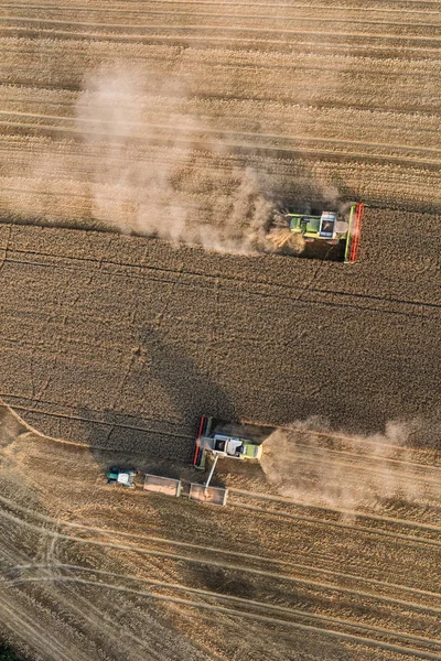 Vista aérea de combinar em campos de colheita — Fotografia de Stock