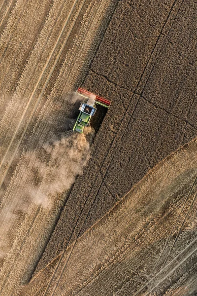 Aerial view of combine on harvest fields — Stock Photo, Image