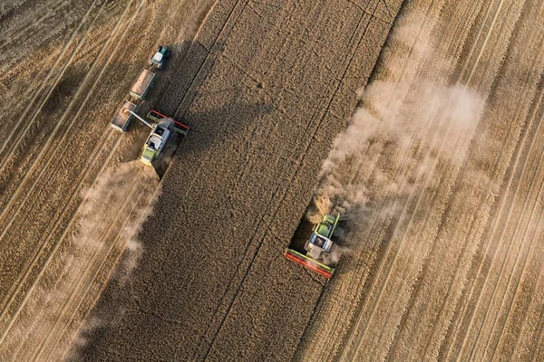 Luchtfoto van combineren op oogst velden — Stockfoto