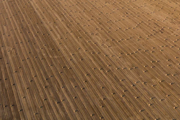 Hasat alanlarının havadan görünüşü