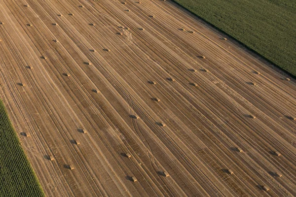 Aerial view of the harvest fields — Stock Photo, Image