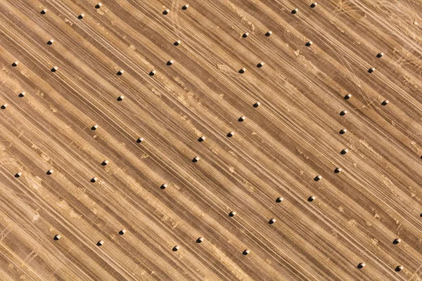Luftaufnahme der Erntefelder — Stockfoto