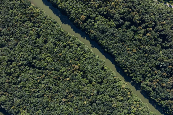 Ormandaki nehrin havadan görünüşü