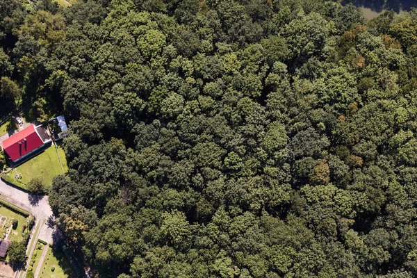 Vista aerea della foresta verde — Foto Stock