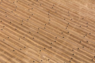 Nysa city yakınındaki Köyü manzara havadan görünümü