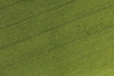 Nysa city yakınındaki Köyü manzara havadan görünümü