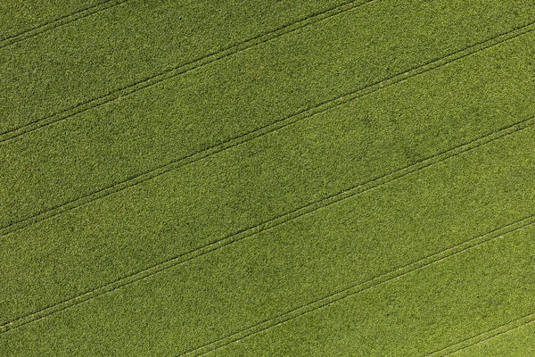 Nysa city yakınındaki Köyü manzara havadan görünümü