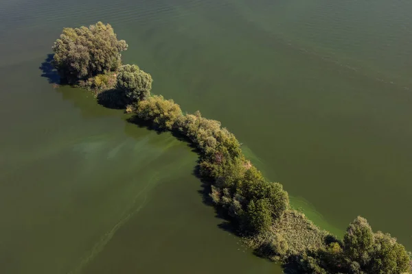 Зеленое озеро Польши — стоковое фото
