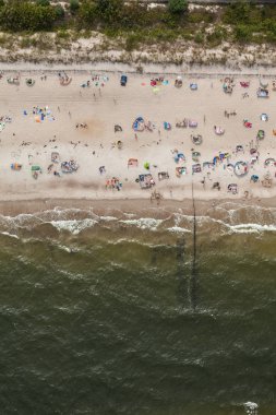 Baltık Denizi 'ndeki kumsal