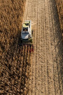 hasat sahada birleştirmek