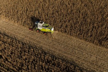 hasat sahada birleştirmek