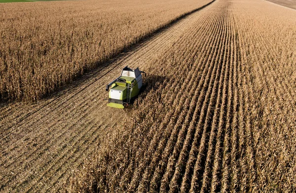Combine on the harvest field — Stock Photo, Image