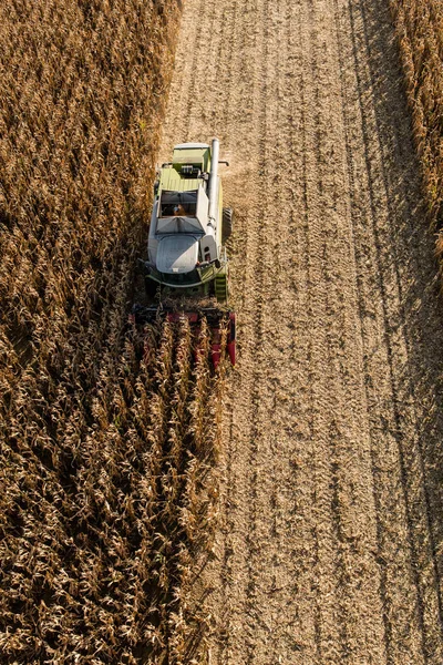 Se combinan en el campo de cosecha — Foto de Stock