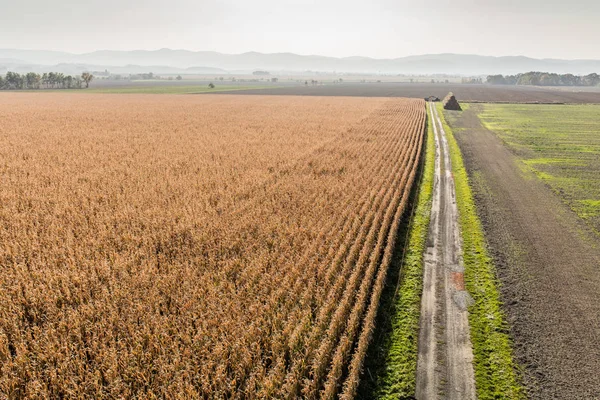 Luchtfoto van de trekker op het gebied van de oogst — Stockfoto